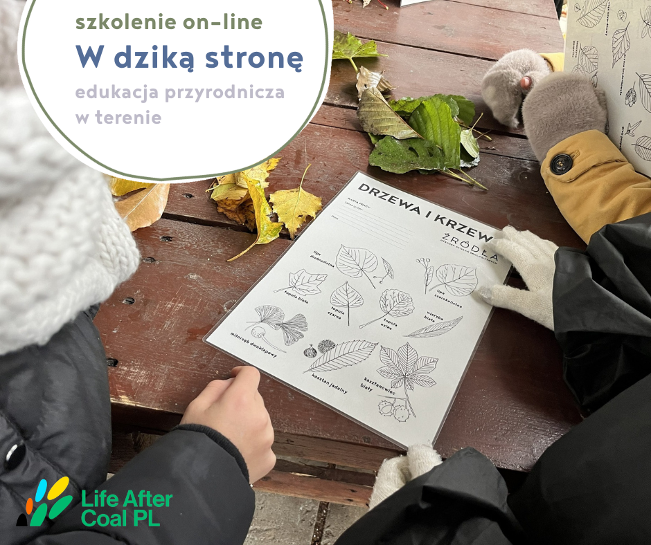 Zdjecie przdstawia stół z kartą pracy do rozpoznawania drzew i dłonie dzieci oraz tekst szkolenie on-line W dziką stronę - edukacja rzyrodnicza w terenie