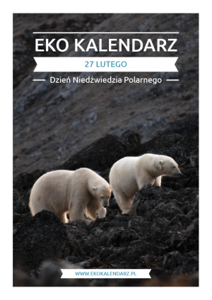 Okładka: Dzień Niedźwiedzia Polarnego – pakiet edukacyjny z EkoKalendarza
