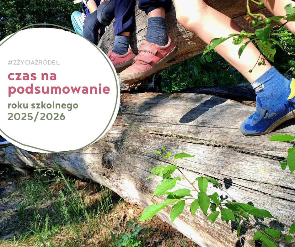 Zdjęcie przedstawia nogi dzieci siedzacych na kłodzie w lesie oraz napis czas na podsumowanie roku szkolnego 2025-2026