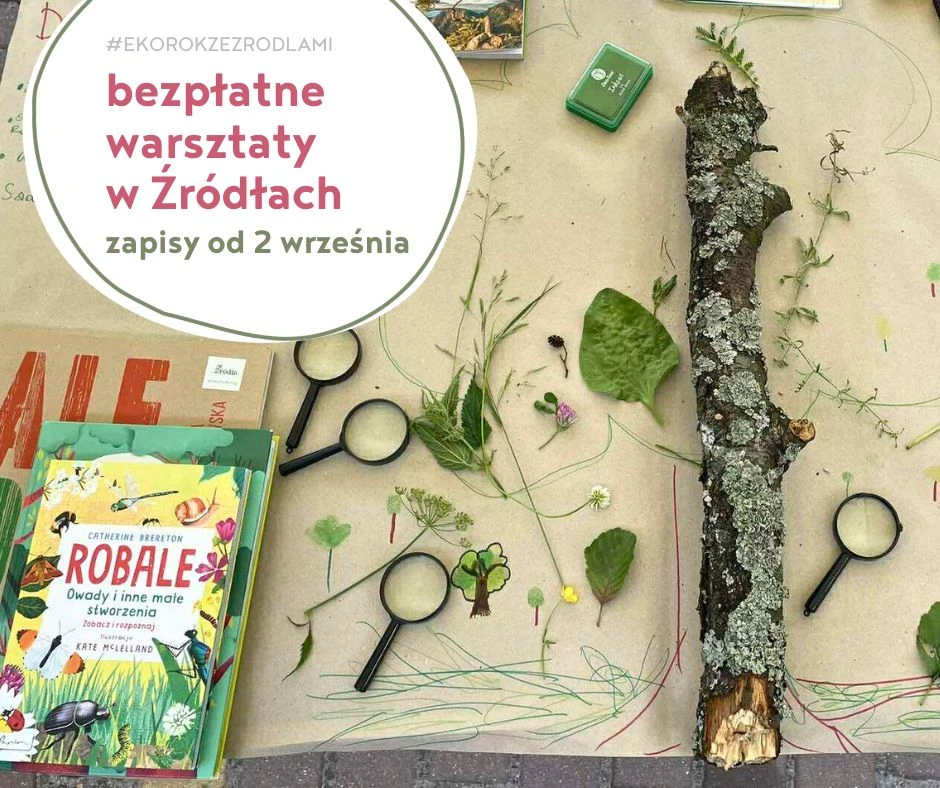 zdjęcie przedstawa elementy przyrody, liście, konar, rośliny zielne oraz lupy i książki o przyrodzie